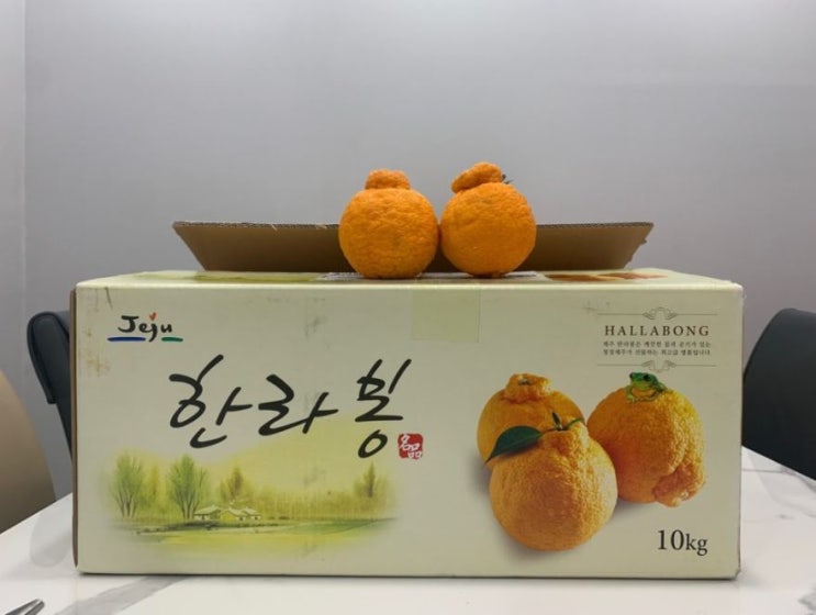  [방문선물] 산타같은 설*철님의 한라봉 선물