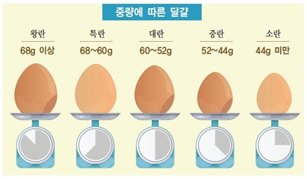 달걀 중량 분류(왕특대중소) / 등급분류