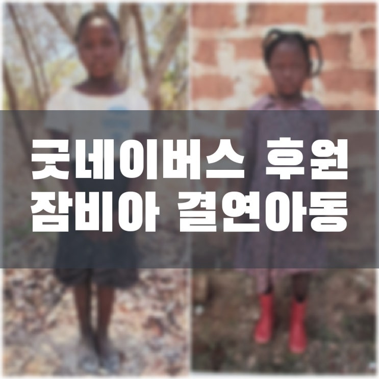  굿네이버스 잠비아 결연아동 후원 딸래미 친구