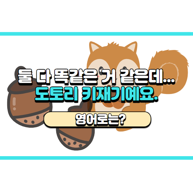  '도토리 키재기, 오십보 백보!' 영어로는? 'Not much of a difference.'