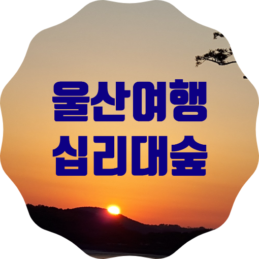  울산 가볼만한 곳 태화강국가정원 십리대숲