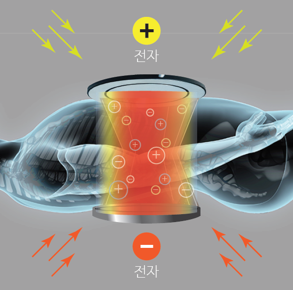 항암고주파온열암치료기- CORECELL(코어셀) : 네이버 블로그