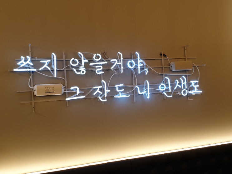  방울토마토 씨 발아