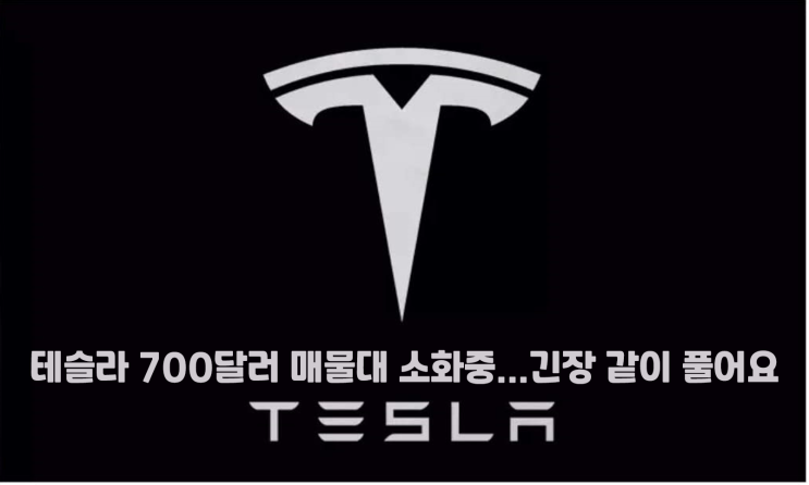  [주식꿀팁35] 테슬라 700달러 매물대 소화중. 우리 같이 긴장 풀어요..^^