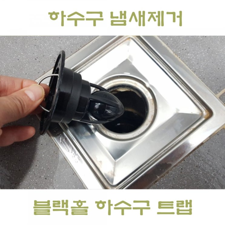  화장실 배수구 냄새제거, 블랙홀 하수구트랩 날파리 너도 안녕