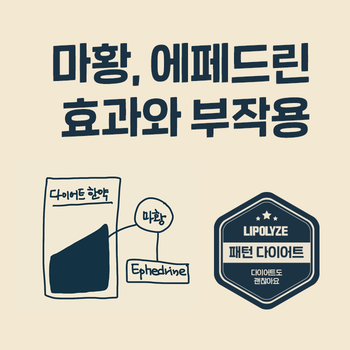 마포 다이어트 한의원. 다이어트 한약 마황(Ephedra, 麻黃)과 에페드린의 효과, 부작용 마포 다이어트 한의원. 다이어트 한약 마황(Ephedra, 麻黃)과 에페드린의 효과, 부작용