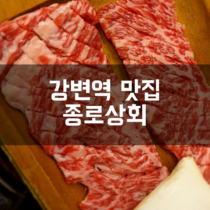  [강변역 맛집] 아기데리고 가기 너무 쾌적하고 맛있는 종로상회