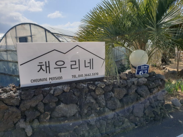  서귀포 애견펜션 채우리네 후기 : 마당있는 포근한 숙소