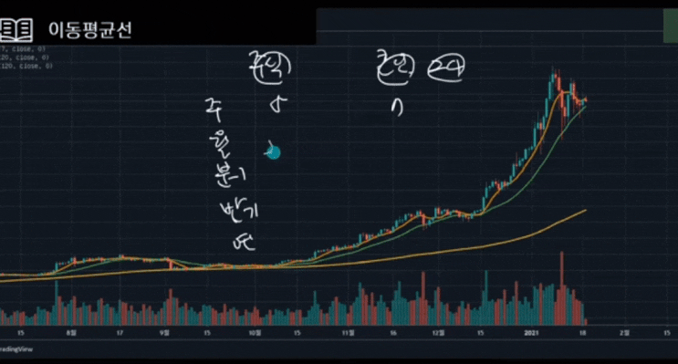  알파쿼크코인 여기만 지키면 홀드해볼만 하다! 알파쿼크전망 알파쿼크분석