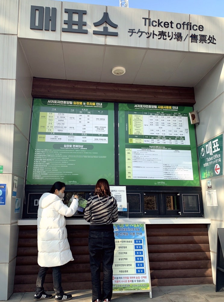  드라이브와 산책이 가능한 힐링 할수 있는 서귀포 자연휴양림