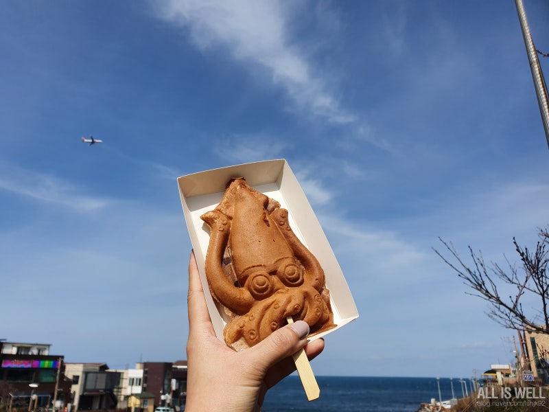 제주여행 #15)) 이걸 왜 이제 알았을까? 꼭 먹어야할 제주도 간식, 제주 한치빵
