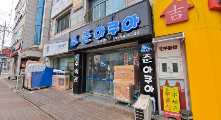  시흥 정왕동 수족관 / 준아쿠아 방문 후기