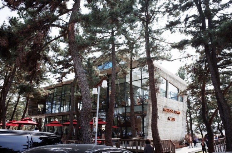  강릉카페 추천 테라로사 사천점 TERAROSA