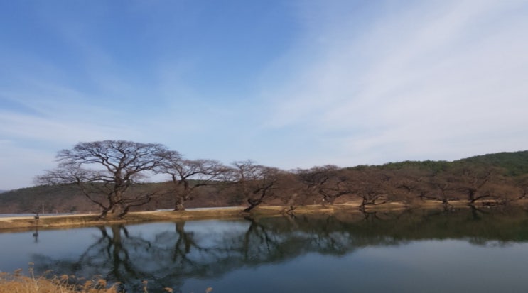  대구근교/경산지역/ 드라이브하기 좋은곳-반곡지