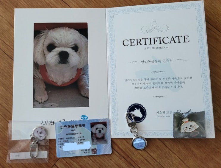  반려동물 등록