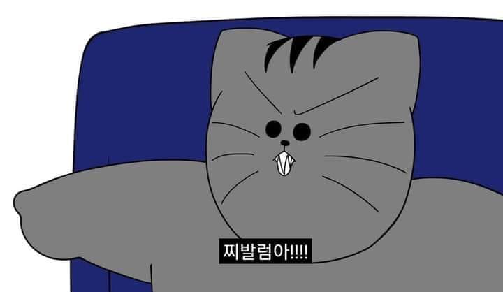  착한 일진이 존재하는 이유