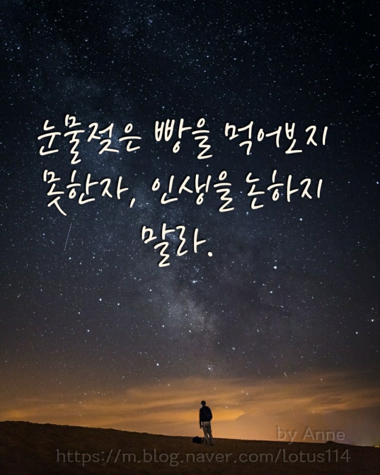  눈물젖은 빵을 먹어 본 적이 없는 자, 괴테의 시와눈물젖은 빵은 무슨 맛일까?에 대한 재밌는 탐구