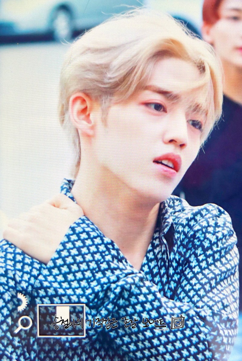 세븐틴 에스쿱스 얼굴분석 (by 성형외과전문의) + 국적, 혼혈, 키, 나이, 출신지, 별명 등등 정....