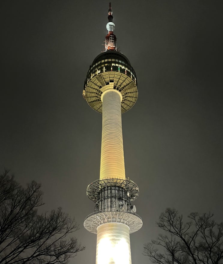  20210206 / 남산 / 서울야경 / 남산돈까스 / 러닝