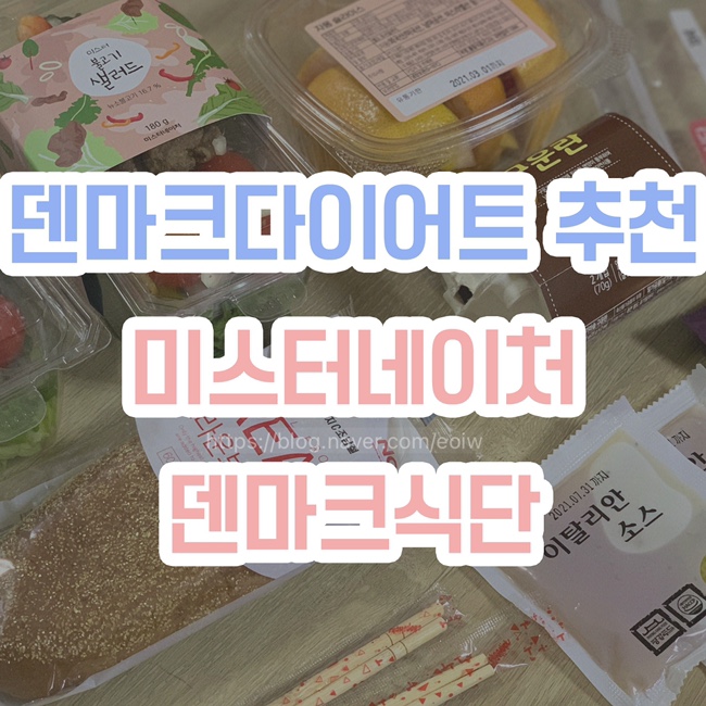  [덴마크다이어트 추천] 미스터네이처, 덴마크식단