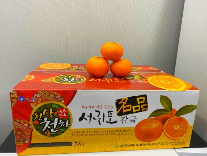  [방문선물] 선물로 받은 귤 한 박스 인증