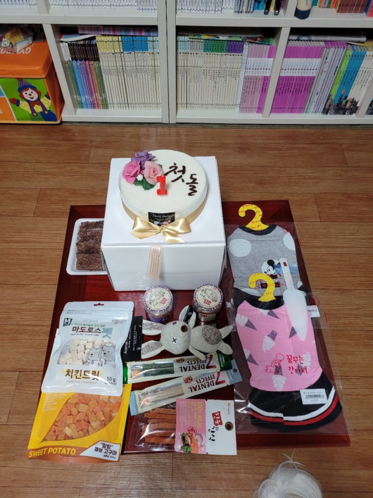  미미 첫 생일