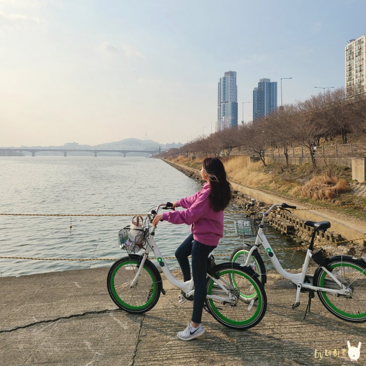 서울 따릉이 이용방법, 뚝섬한강공원 자전거 코스
