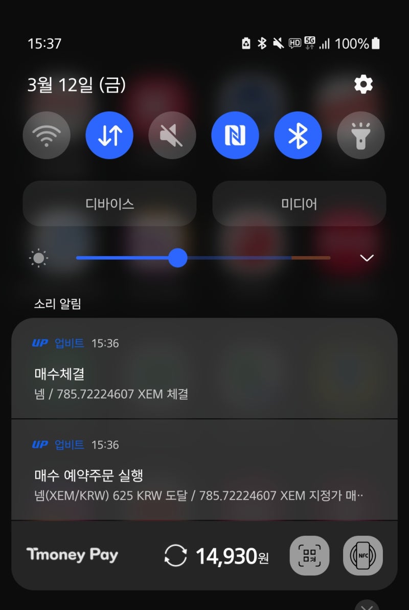 업비트 - 칠리즈(CHZ), 넴(XEM), 이더리움(ETH). : 네이버 블로그