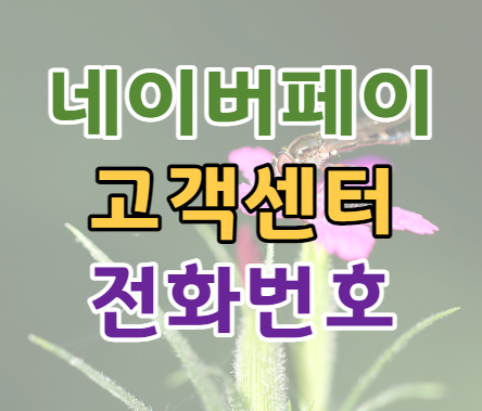 네이버페이 고객센터 전화번호 문의 방법 네이버페이 고객센터 전화번호 문의 방법