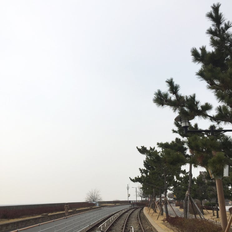  영종도레일바이크 부터 곳곳 나들이! 오래간만에 행복한 오프 일상:-)