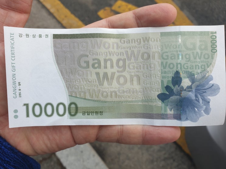 강원상품권 제로페이, 강원페이 '그리고'(지역화폐) : 각자 장단점이 있네요