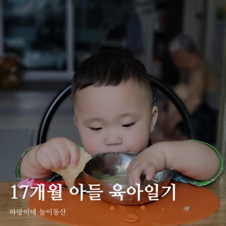  17개월아기 성장기록 육아일기 D+521~522