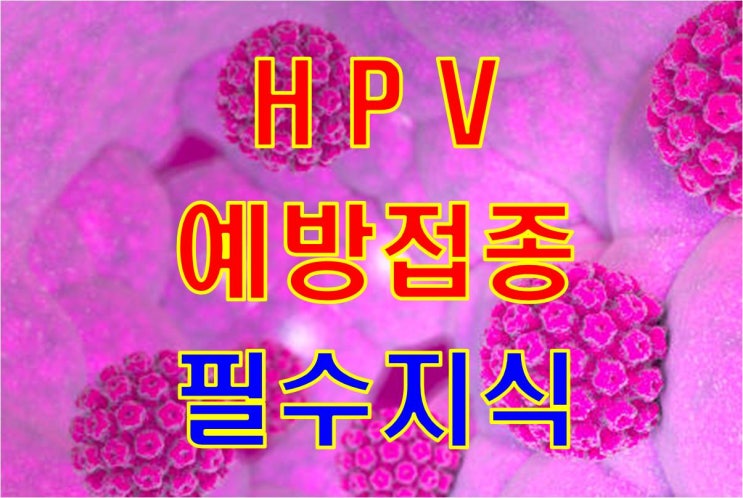 예방접종 필수지식 - HPV (사람 유두종 바이러스) 예방접종