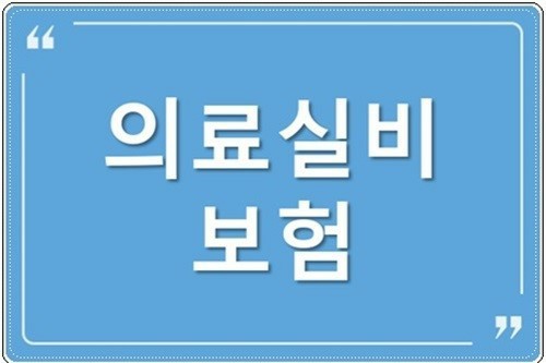  제2의 건강보험 실비, 똑똑하게 준비하세요! - 2021보험 파헤치기