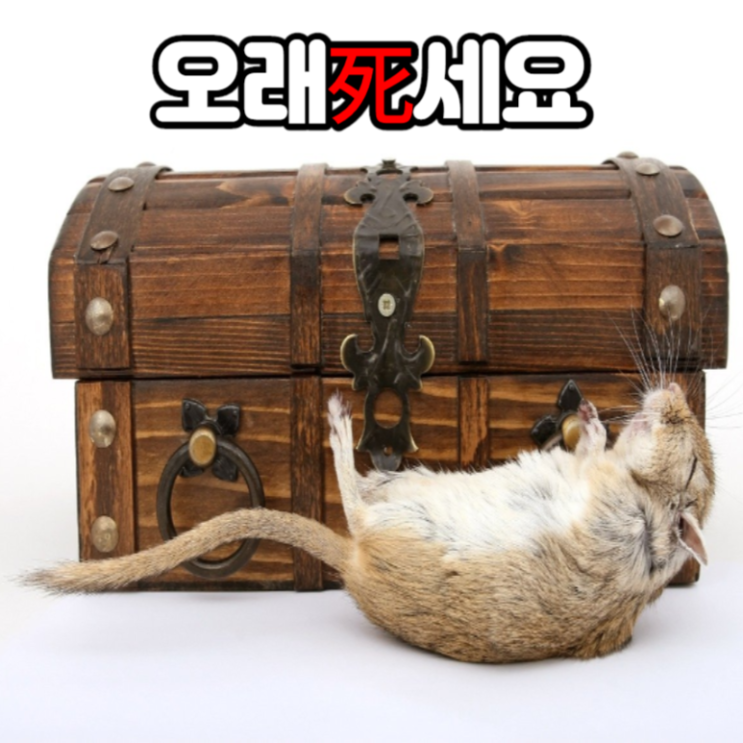 이명박 일가 땅 소유 현황 이명박 일가 땅 소유 현황