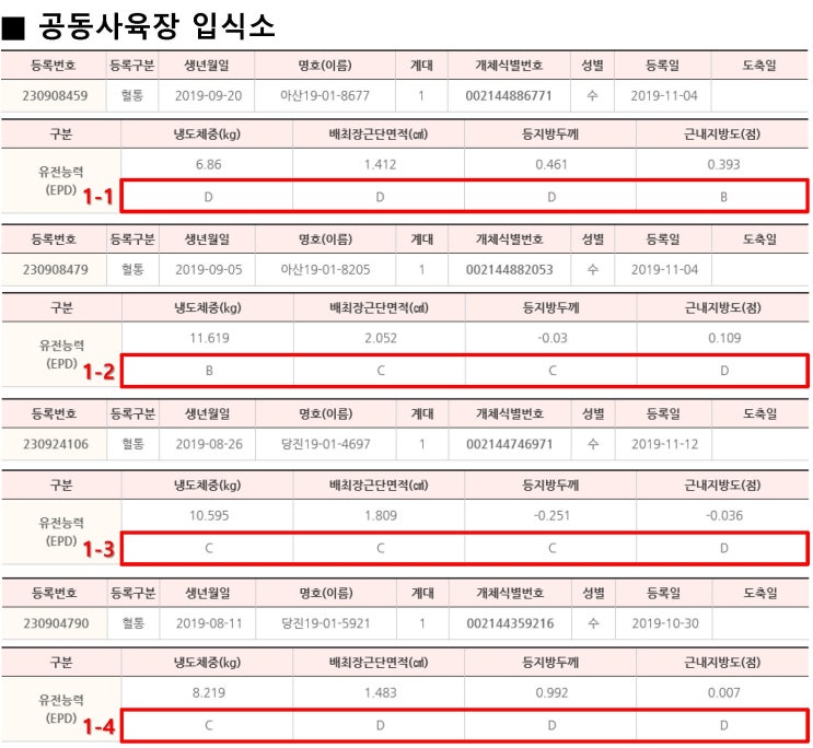  한우공동사육장 입식 송아지 아쉬움