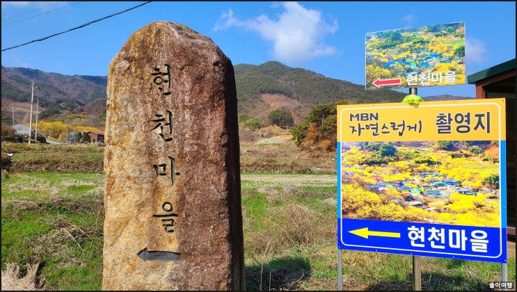  "자연스럽게" 촬영지 구례 산수유 현천마을 -산수유 완전절정