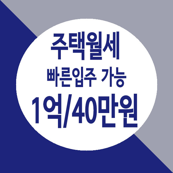  별내 빌라 월세, 다가구 상가주택 채광좋고 구조 좋은 2룸 월세