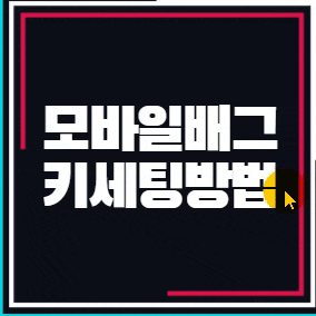  모바일배틀그라운드 (모바일배그) 가상키 설정방법