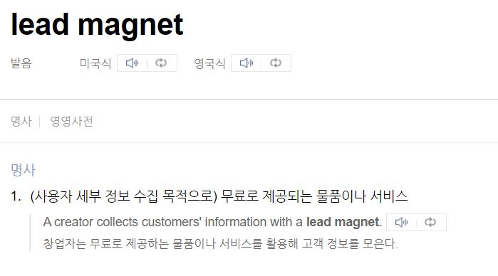  오늘의 단어 'Lead Magnet 리드마그넷'