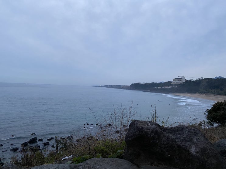  [제주]여행2일차 더클리프, 라이앤미, 아르떼뮤지엄, 협재해물라면오빠네, 돈이랑