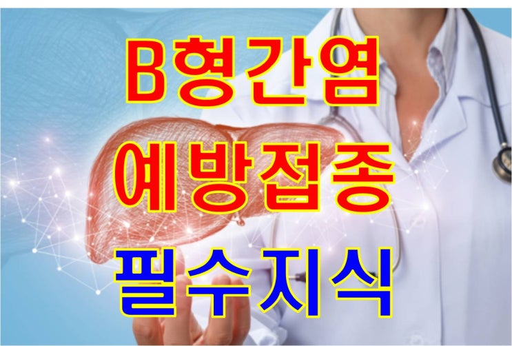 예방접종 필수지식 - B형간염 예방접종