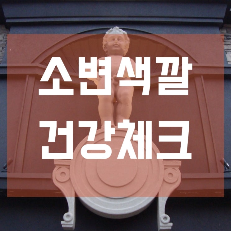  소변색깔로 확인하는 건강 질병 신호!