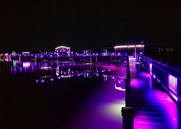 보라색, 바이올렛 Violet Vs 자주색, 퍼플 Purple 차이점 : 네이버 블로그