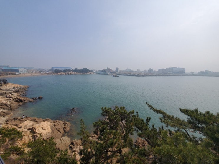  군산 가 볼만한 곳 비응 마파지길 (비응항 해안데크)