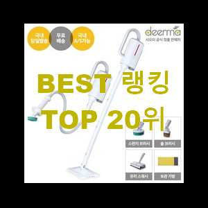  정직한 스팀청소기 아이템 구성이 참 좋아요
