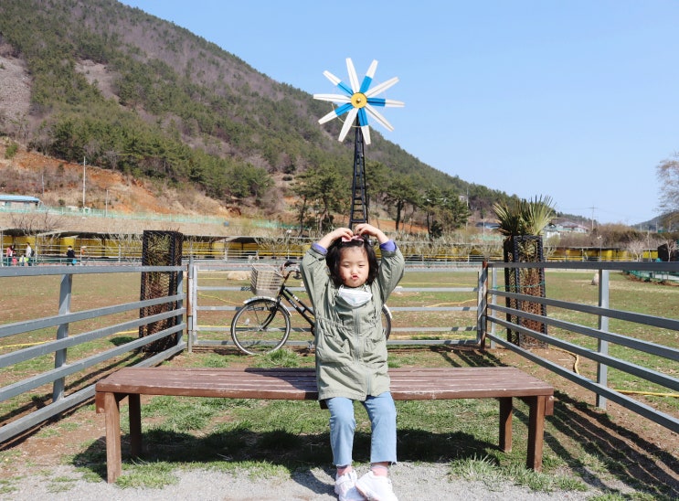 여수한우드림체험농장:아이와 가볼만한곳 추천 여수여행