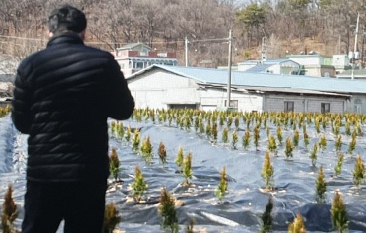 파주 LH 직원 사망 목을 맸다고 LH파주사업본부 소속 투기와 관련 있는지 조사중이라고 함 내부반응은? 파주 LH 직원 사망 목을 맸다고 LH파주사업본부 소속 투기와 관련 있는지 조사중이라고 함 내부반응은?