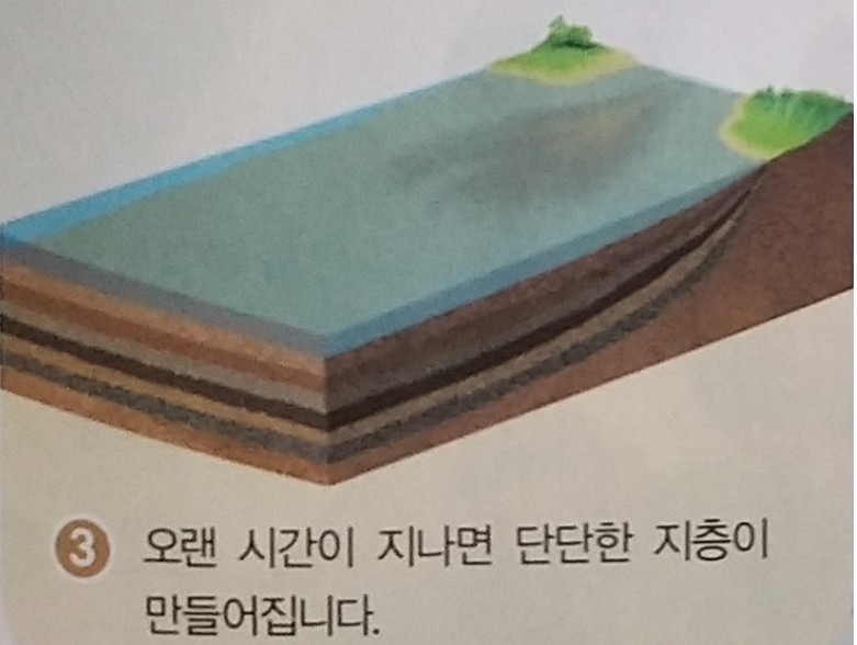 [초등과학공부법 4-1] 2. 지층과 화석 - 지층 생성 순서 (단골 시험문제) : 네이버 블로그