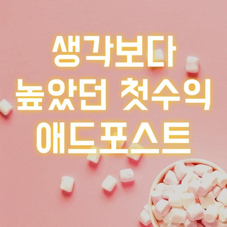  애드포스트 첫 수익(신청방법, 조건), 3개월 블로그 운영 결산(조회수, 방문자수, 체류시간, 이웃)